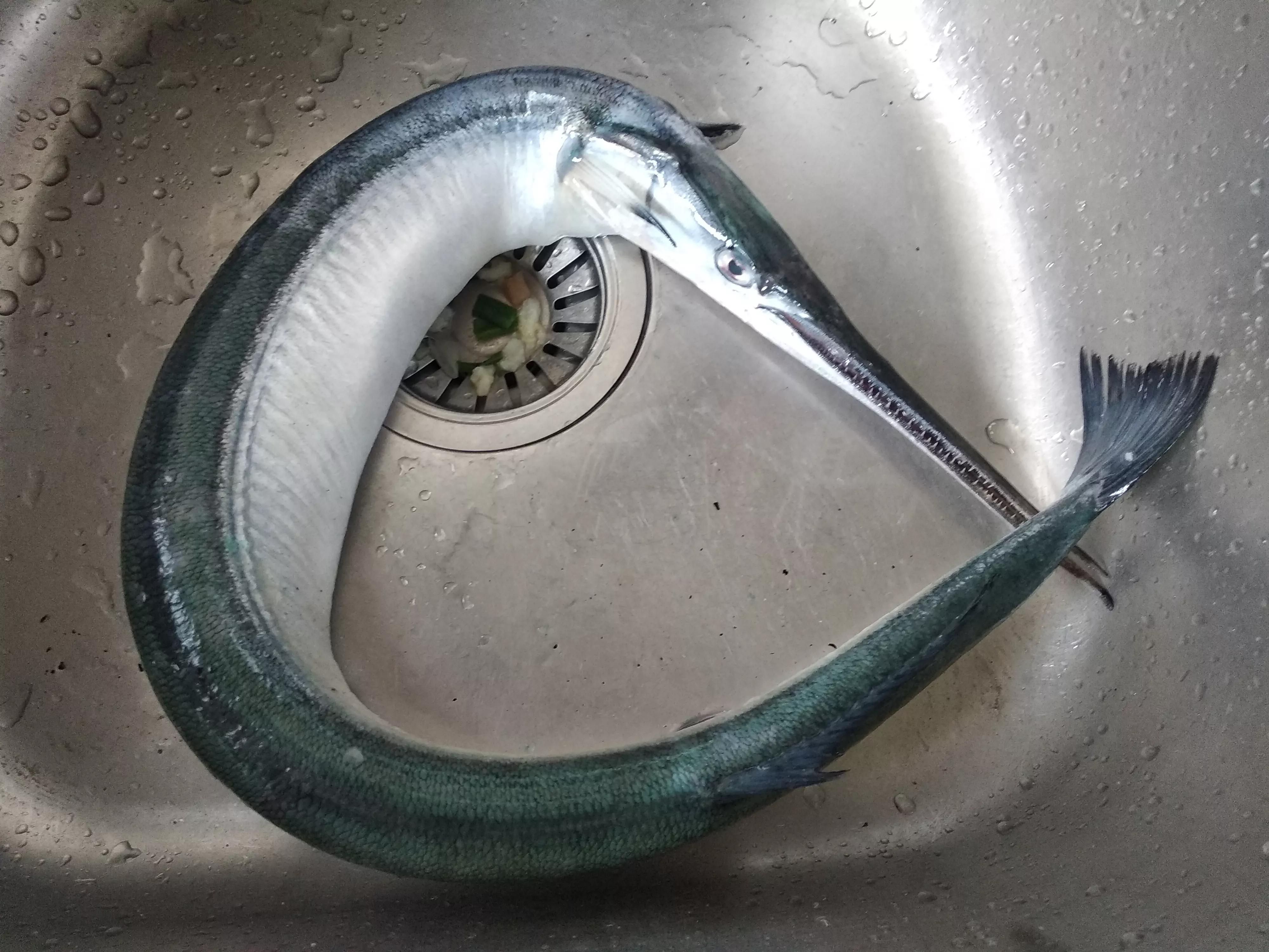 针嘴鱼市场价格是多少春天海鲜市场