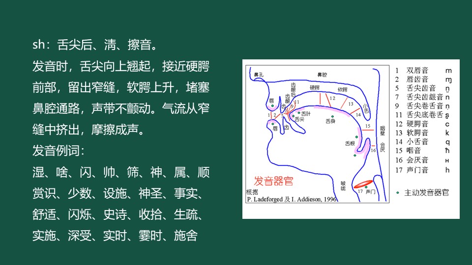 筛怎么读 文字筛怎么读 - 盾灵网