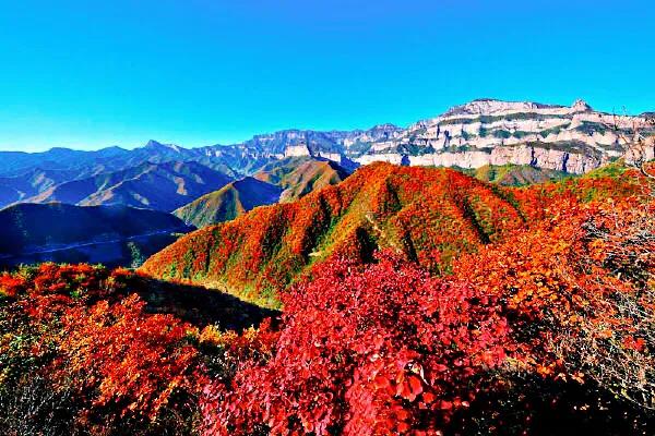 太行山秋色美如画