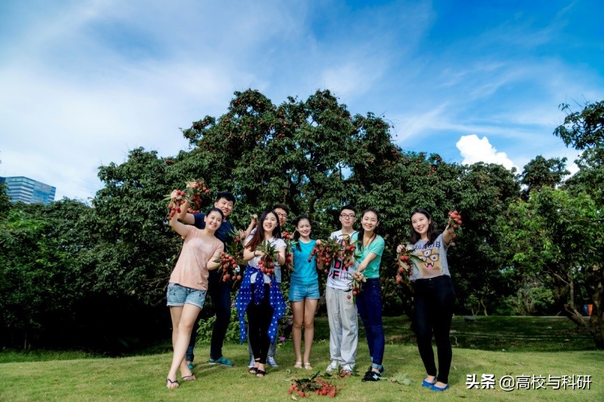 深圳大学，没想到你是这样的存在