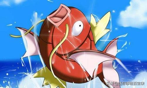 《神奇宝贝图鉴》No.129：传说中的深海大凶残——鲤鱼王