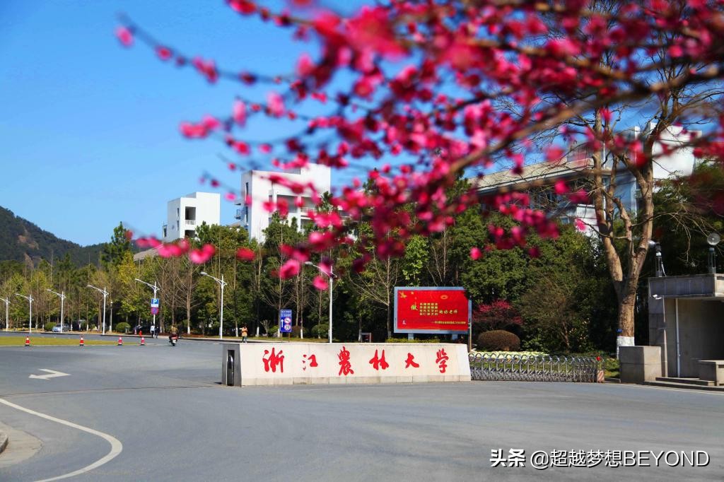 杭州农业大学（浙江农林大学2021年浙江省各专业录取分数统计）