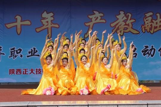 陕西正大技术学院。2020年春季招生。