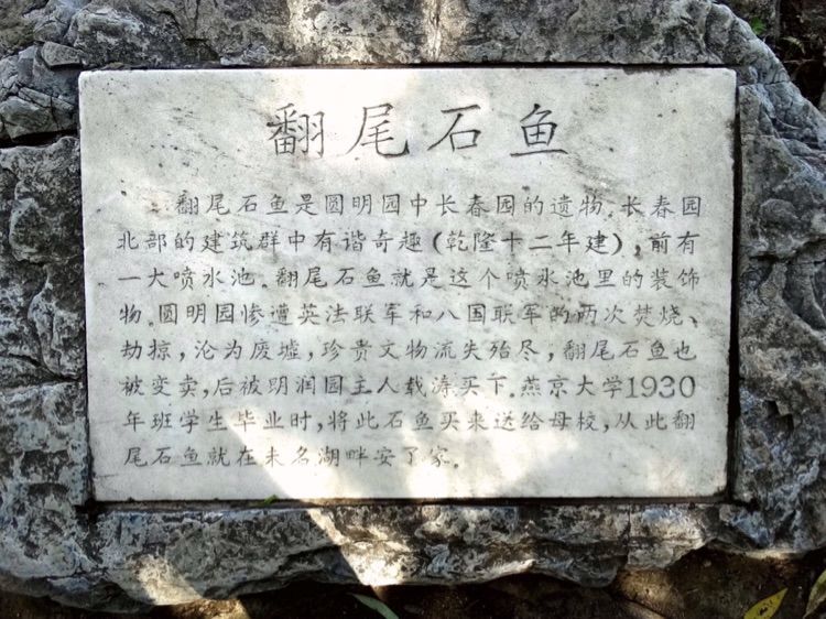 北大印象，漫步北大校园