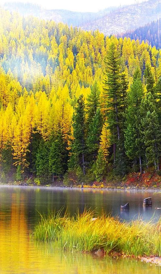 「诗词鉴赏」古诗词里的山中秋色，气象万千，摄人心魄的美丽