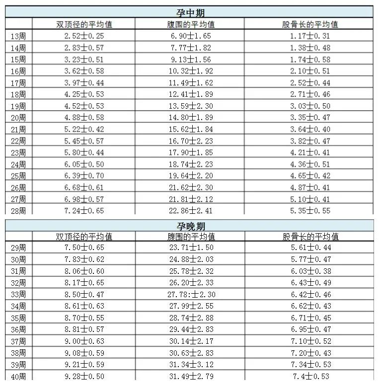 看起来“懵懵”的孕期B超单子——孕中晚期