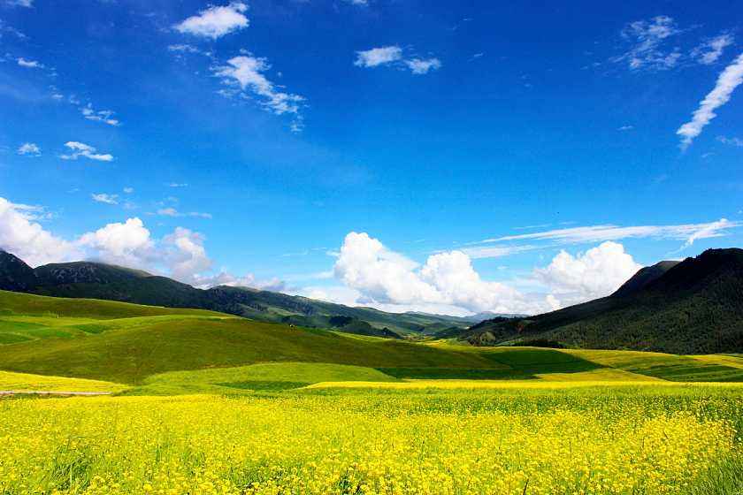 「祁连山草原要门票吗」祁连山草原门票多少钱一张✅