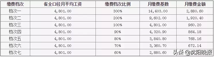 沈阳养老保险个人账户查询,沈阳养老保险个人账户查询官网