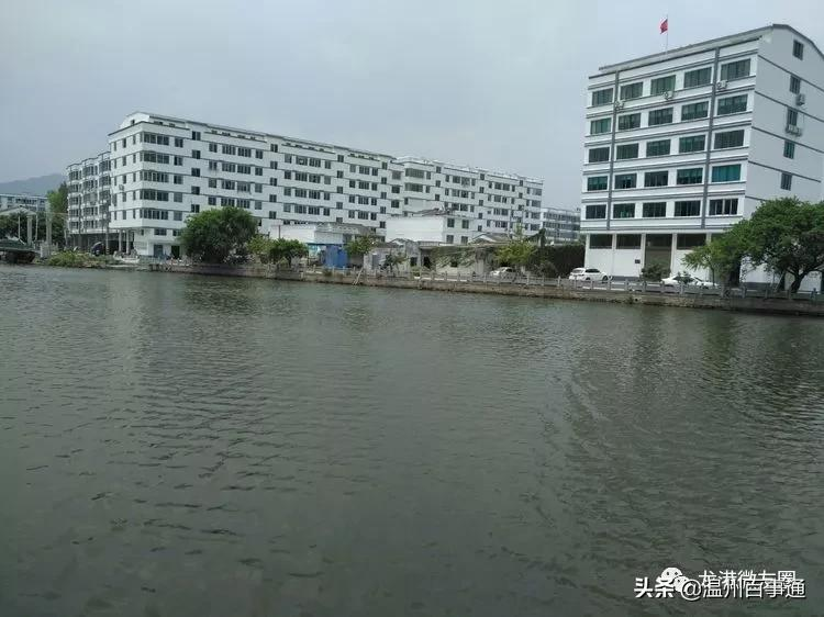 全面解读“望里”