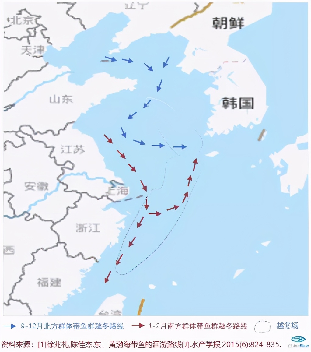 带鱼：就算我是"愿者上钩"，你也别想见活着的我