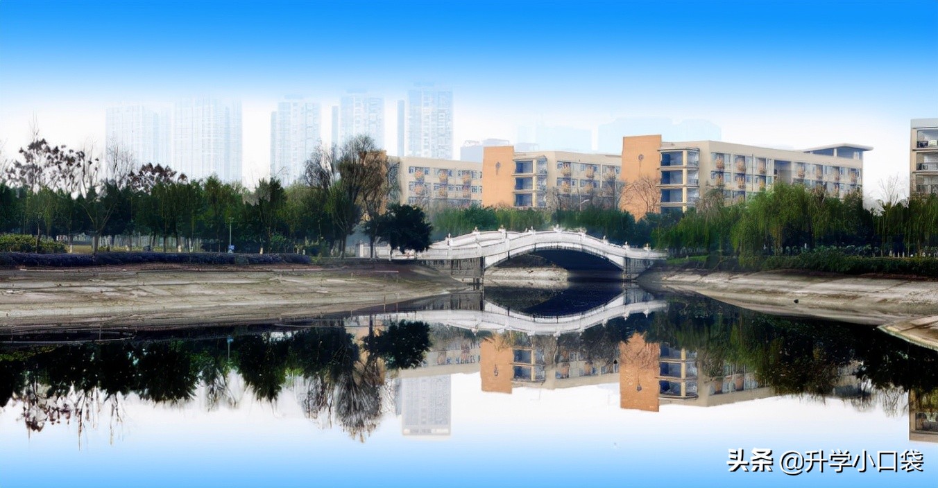 西南财经大学国内升学情况：281人升学本校，53人升学人大