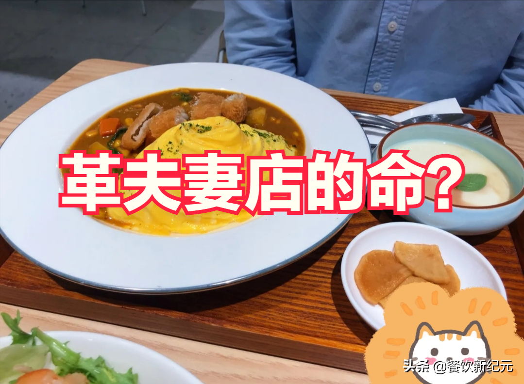 海底捞开日式快餐店，人均25块，饮料无限续杯，夫妻店瑟瑟发抖？