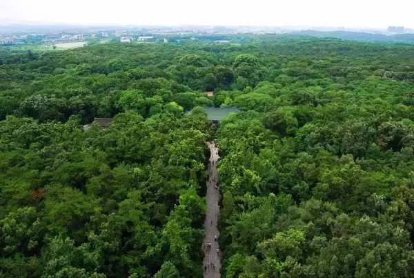 登上这6个地方，才能看到南京最惊艳的风景