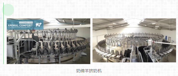 新西蘭不只出口奶粉……