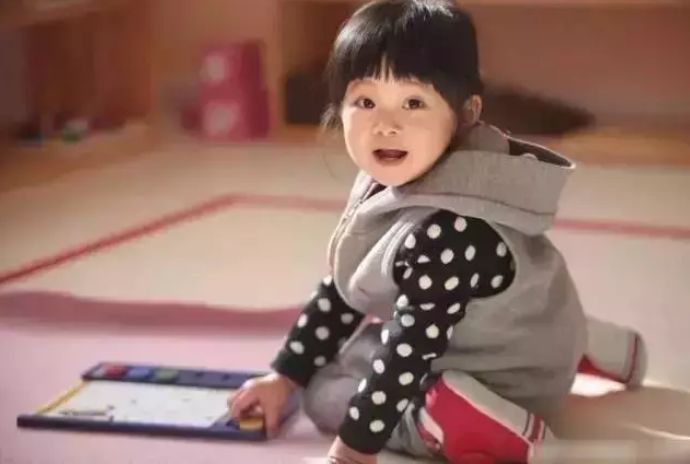 逻辑狗：德国最先进的儿童思维训练法，锻炼3-12岁孩子逻辑思维