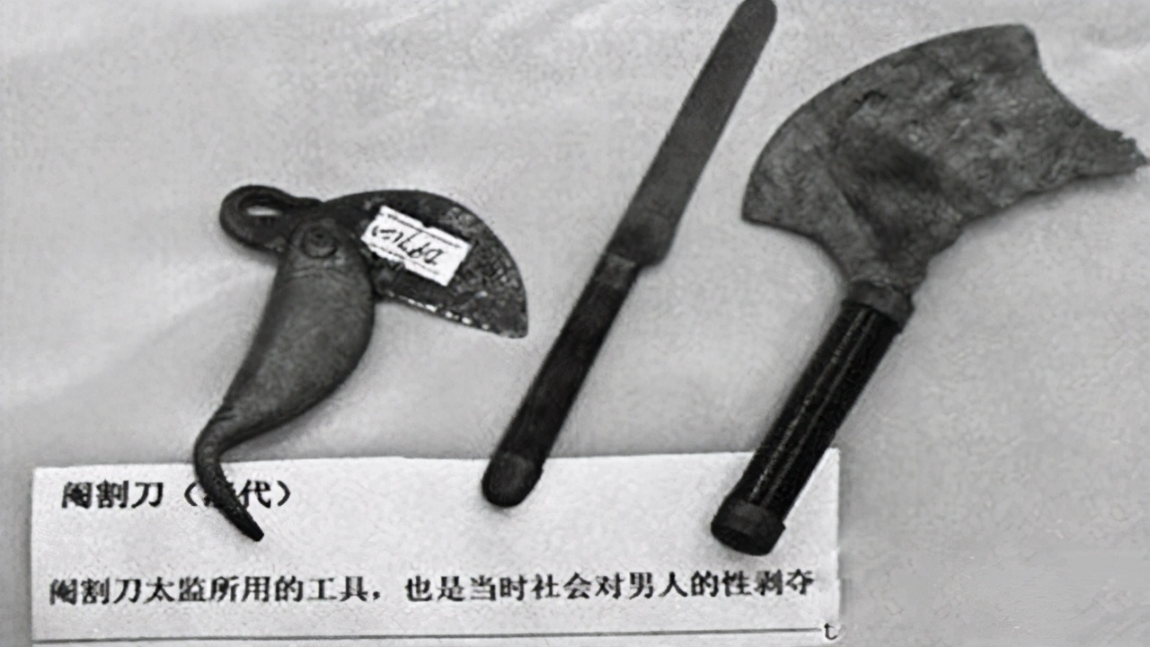 怎樣殺雞,怎樣殺雞又快又好