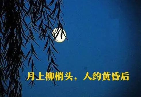 这些流传千百年赞美月的句子,配成绝美文案,你知道作者吗