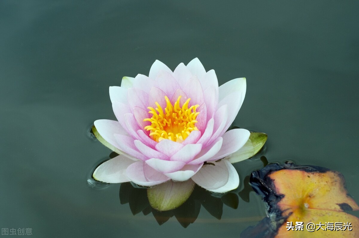 夏日雨后，漫步寻幽