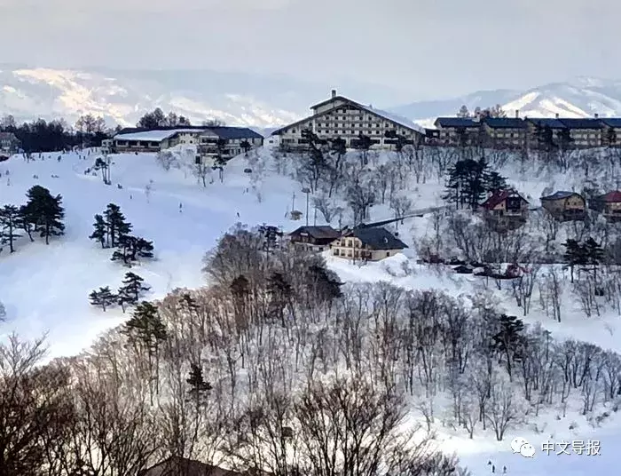 男篮世界杯中国队孙辉(华人相约斑尾：尽享雪地浪漫与激情)