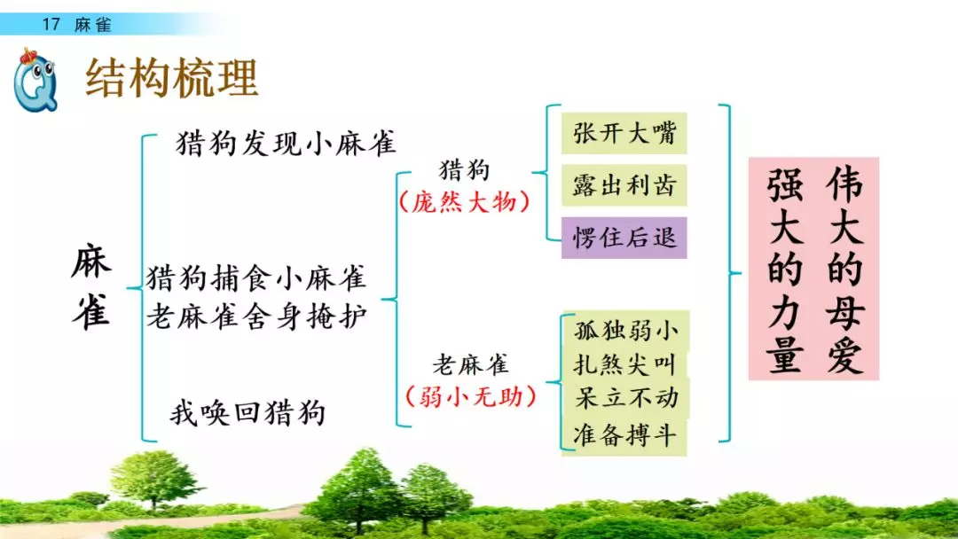 麻雀的思维导图图片图片