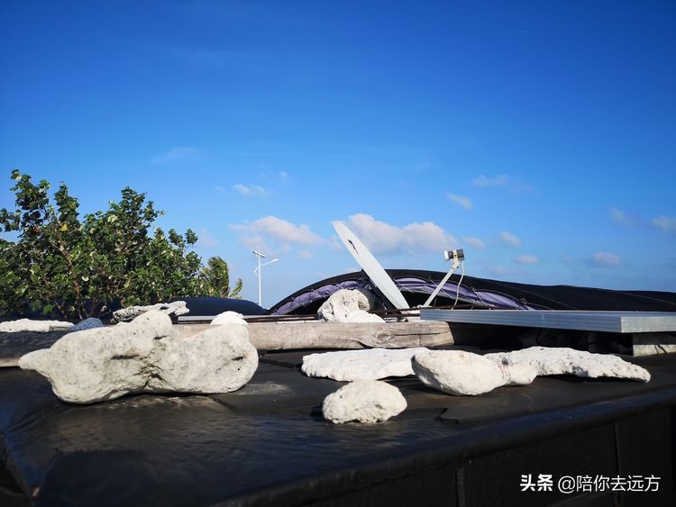 西沙~南海中的一片莲