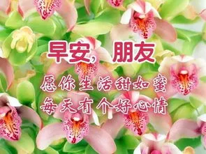 穿上你的衣，我用祝福伴你赢胜利，祝你早晨快乐，早安