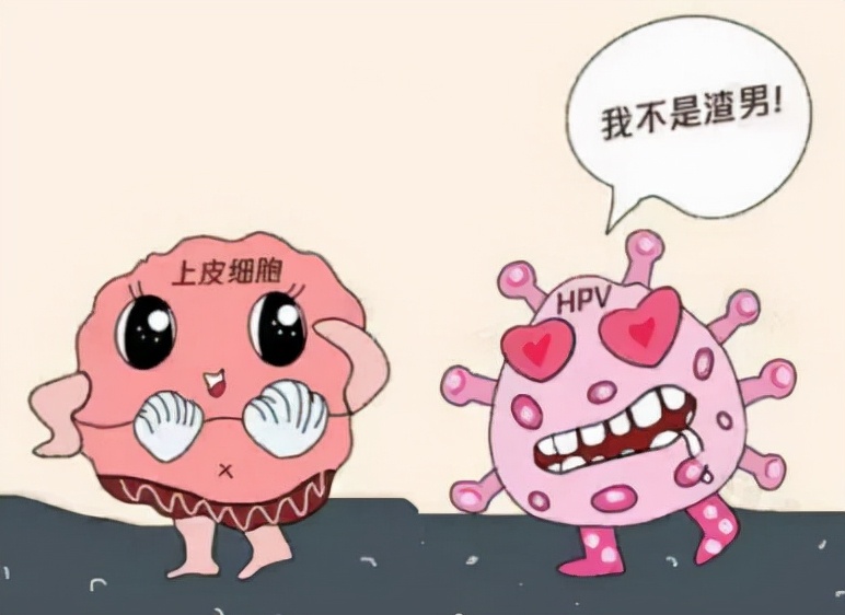 了解这些误区,让你不再"谈hpv色变"