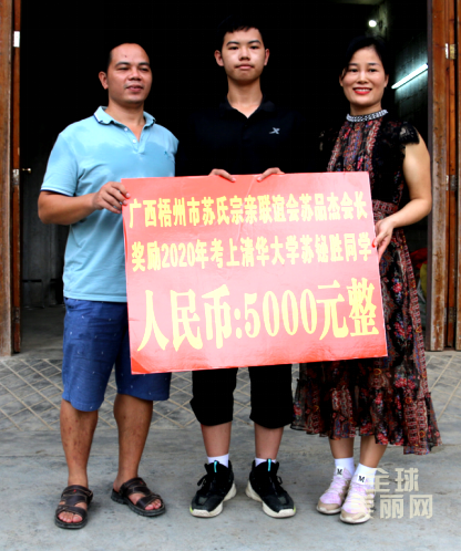 广西都安县芊芊学子苏铋胜等10位同学考上清华大学、北大