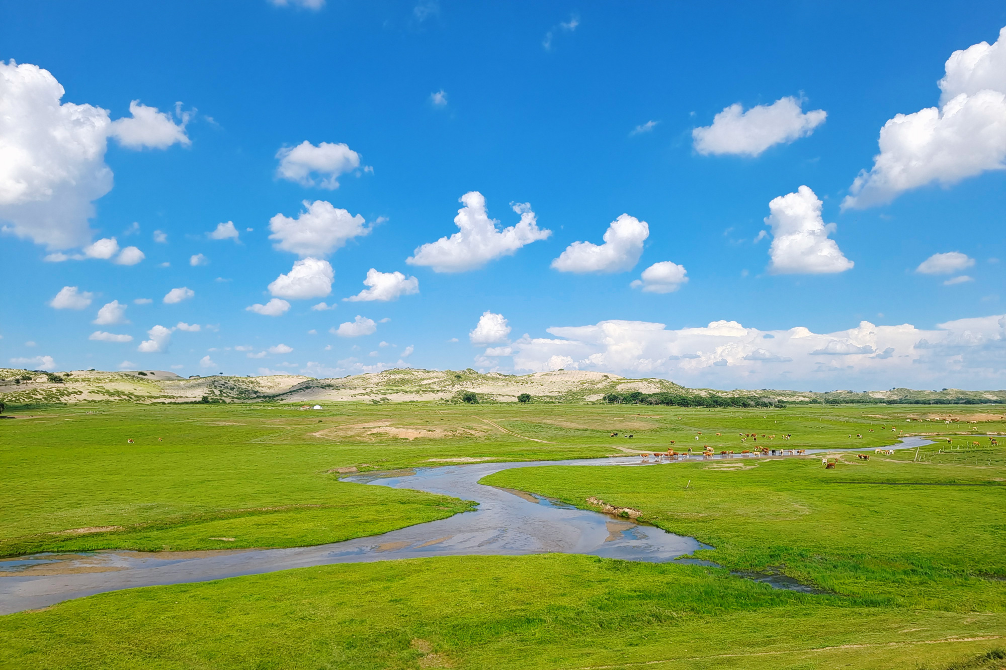 内蒙古锡林郭勒大草原,向往的诗和远方