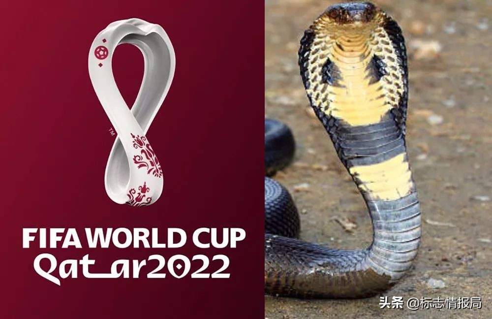 世界足球世界杯各国国旗(哈哈！2022年世界杯LOGO刚亮相就被网友玩坏了)