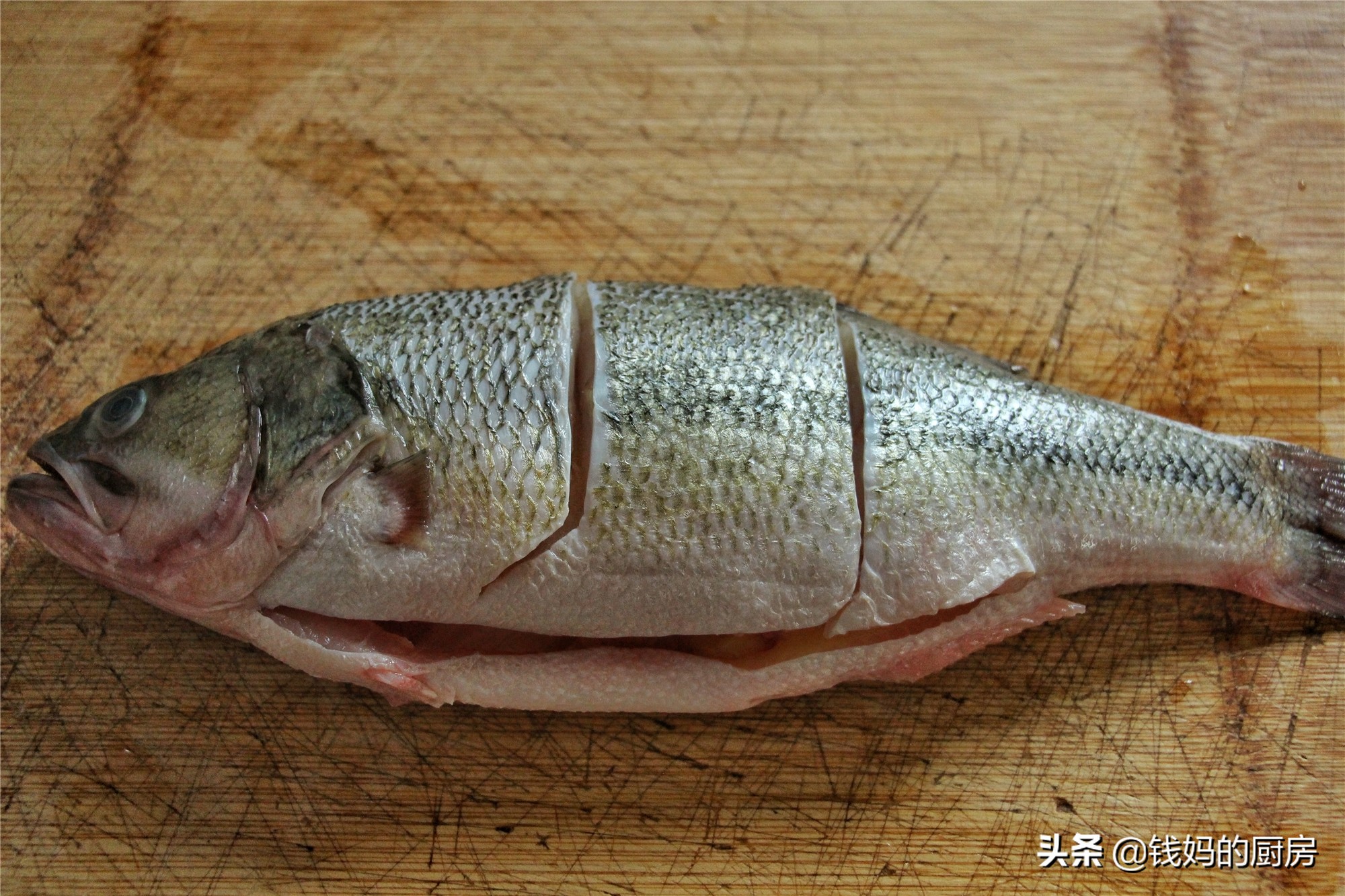 清蒸鱼用这方法，8分桌上桌，鱼肉鲜嫩多汁又不腥，比蒸锅还方便