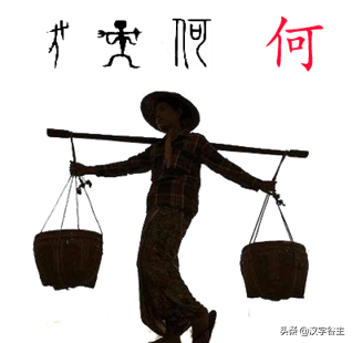 荷花有关知识及字词诗文（闲情偶寄芙蕖）