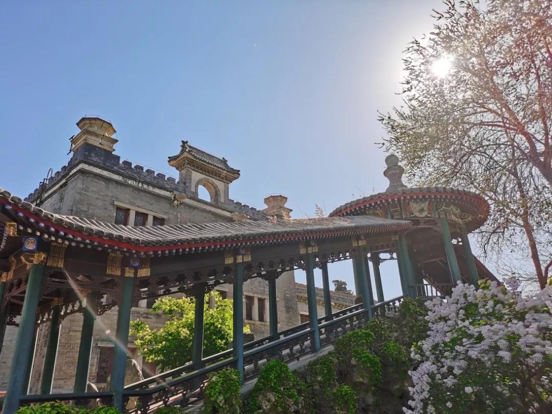 首席专家坐镇！这部“巨著”火了：230余万字，填补空白，实现“国内首次”！