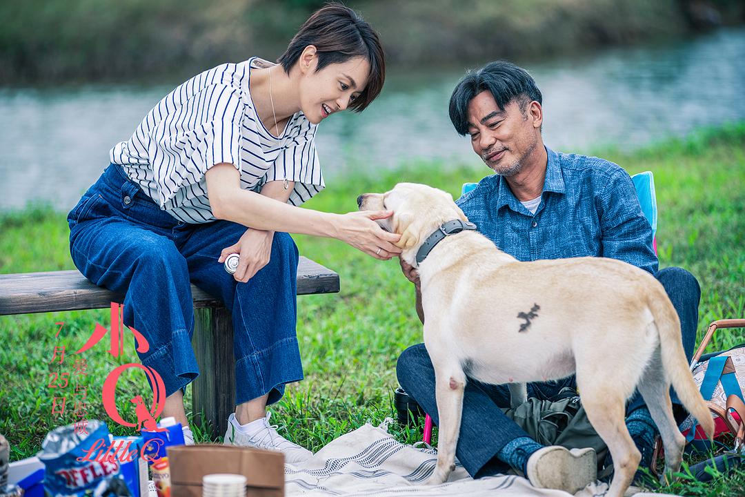 日本导盲犬的电影喜剧(任达华拿出影帝级演技的这部电影，不止是催泪那么简单)