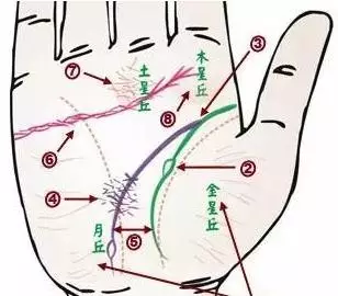 24种手诊图，堪比X光线，揭示你的身心健康