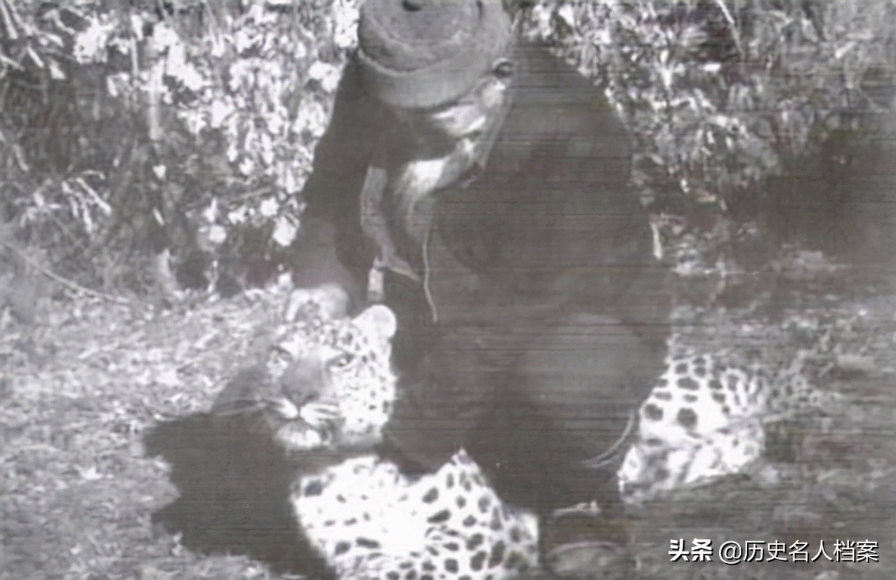 1955年，一老妇找到政府：我夫被迫害致死，云南白药秘方上交国家