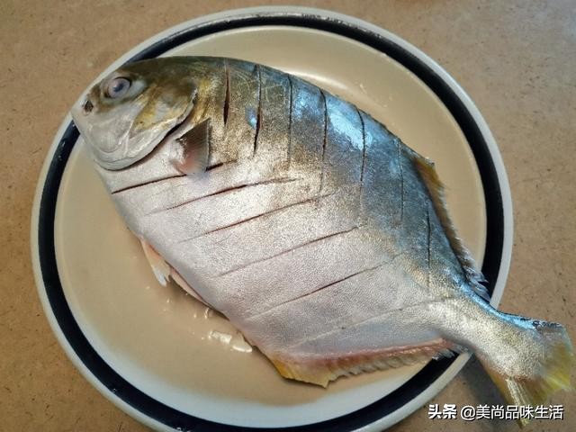 冰冻深海金鲳鱼，清蒸很嫩也美味