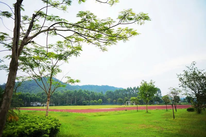 2020年广东3+证书最低录取155分，清远职业技术学院介绍