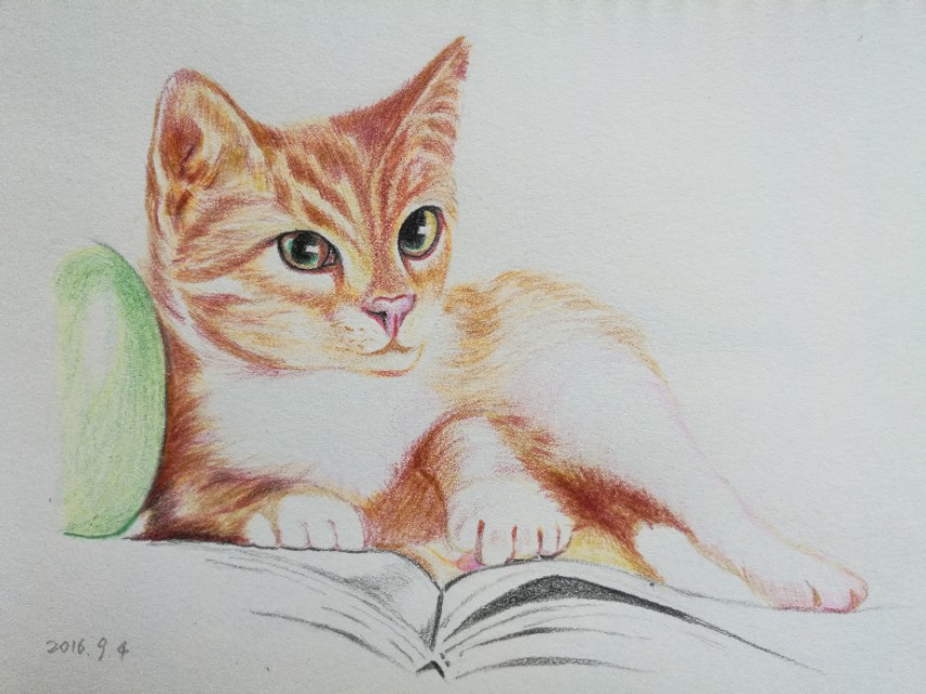 用彩色铅笔画小松鼠/过程图_晶羽科技