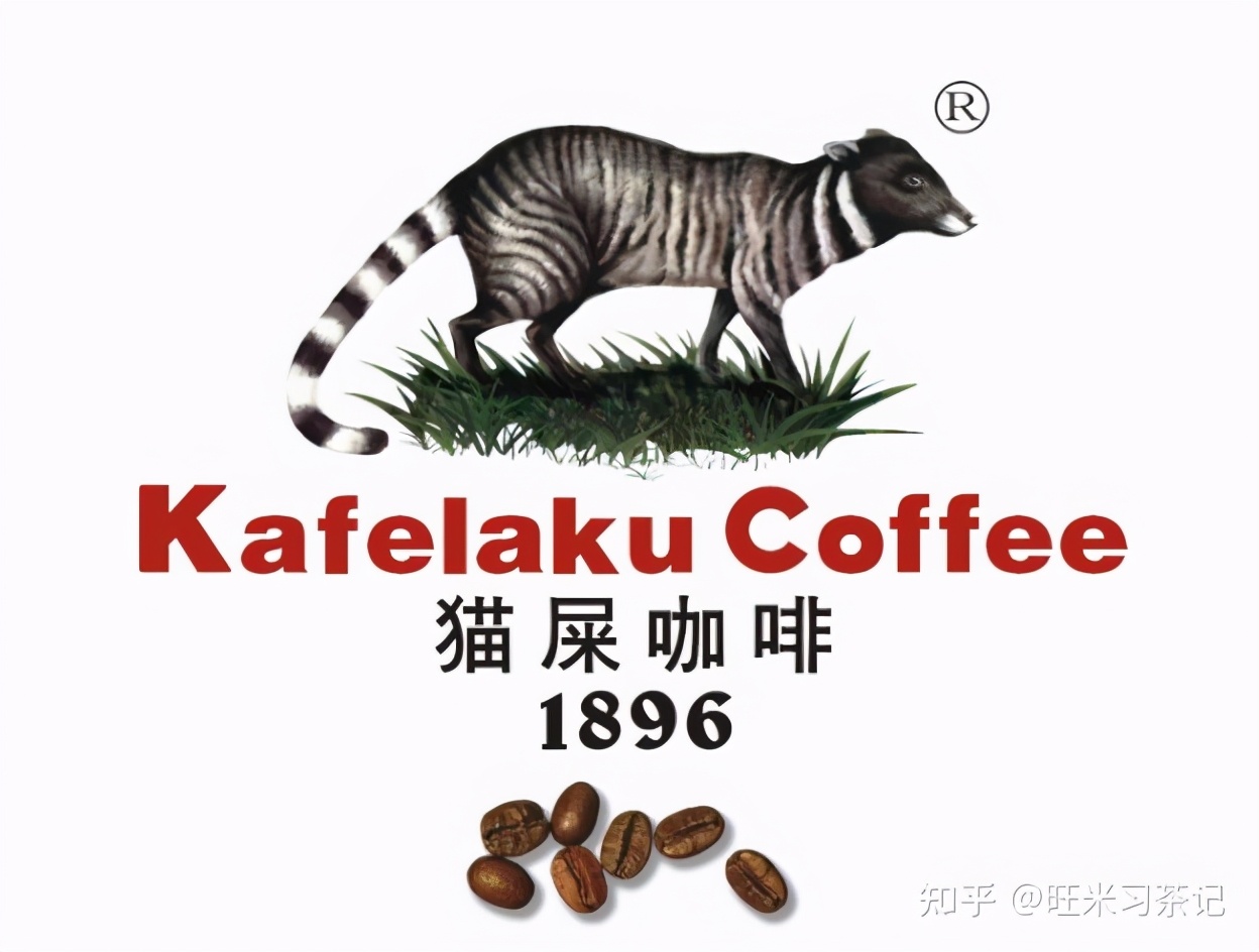 凤凰单丛十大香型之鸭屎香：独特韵味与品鉴之道