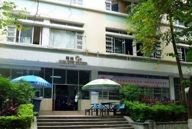 高职高考必看｜全面了解广东岭南职业技术学院