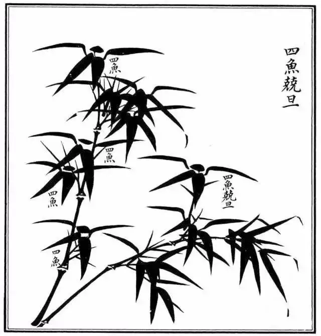 不会画竹子?教你最常见竹子画法,简单易学,快收藏起来临摹学习