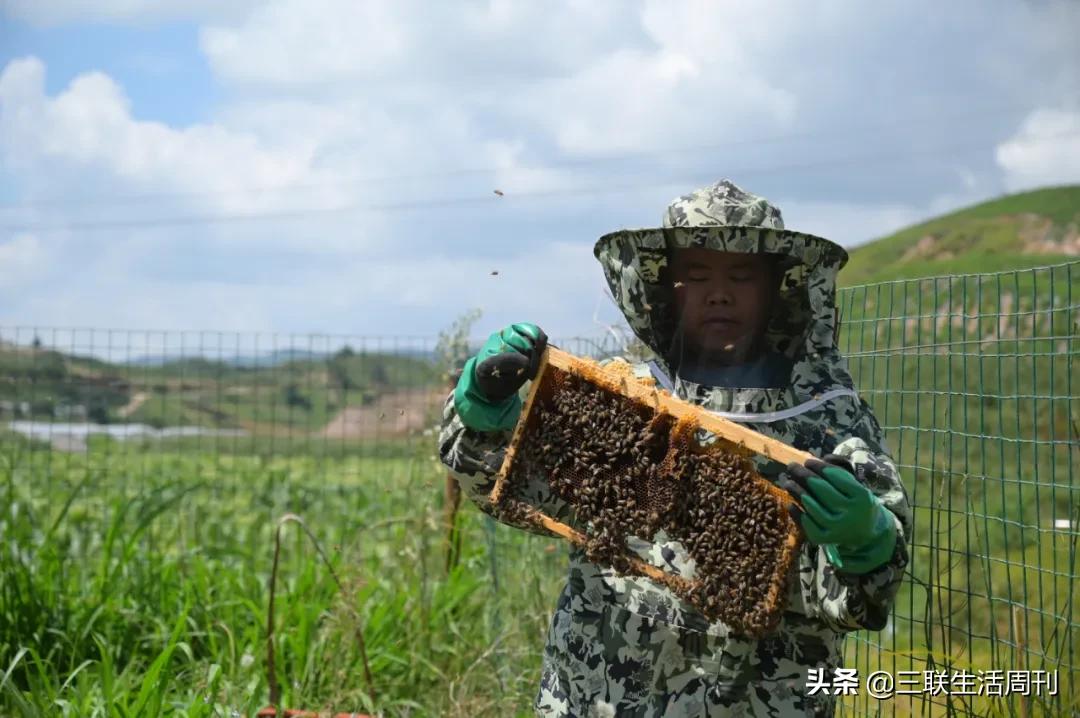 那些回到乡村的年轻人，现在过得怎么样？