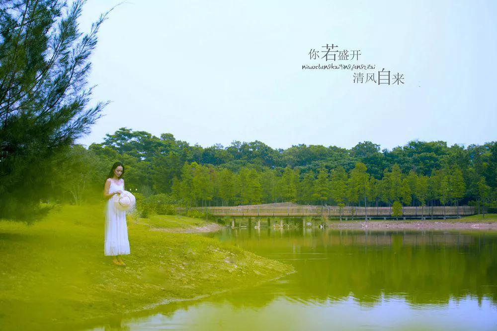 花开时，清风自来：给已婚女性的成长与自信启示
