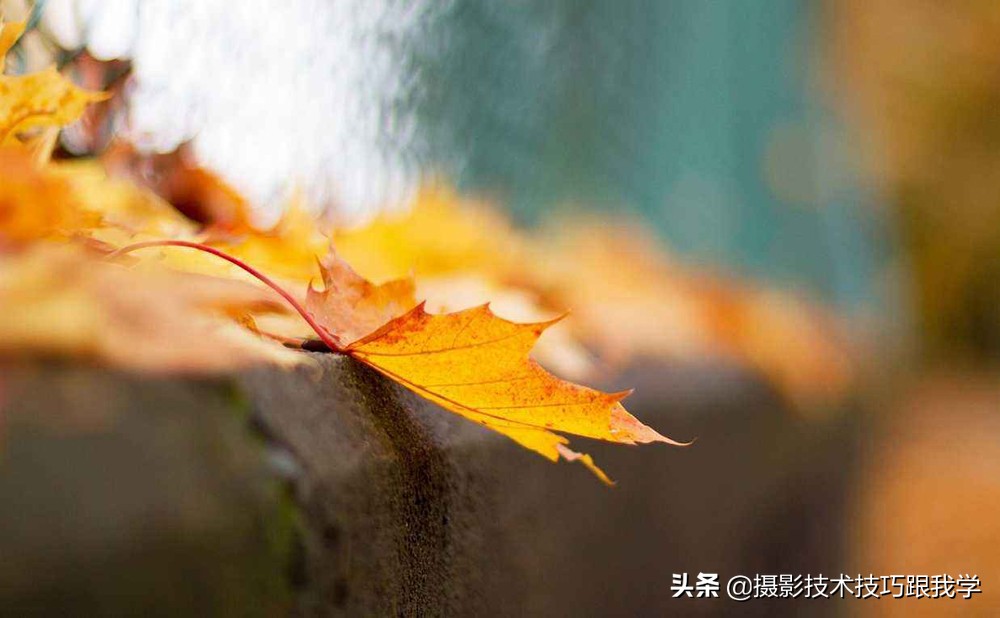 摄影技术课:什么是光圈?什么是景深?这篇文章告诉你