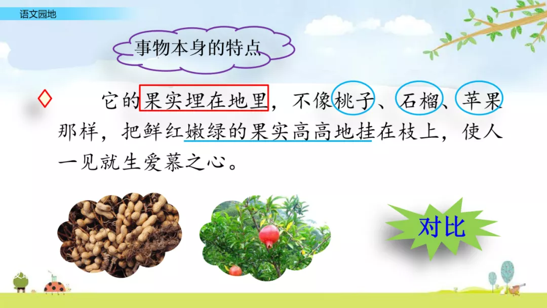 部编语文五年级上册《语文园地一》知识点+图文解读+课堂练习