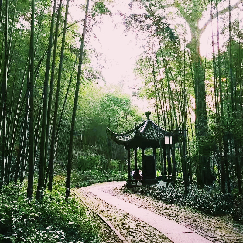杭州的宝藏景点，如诗如画如仙境，带你看别样的西湖之美