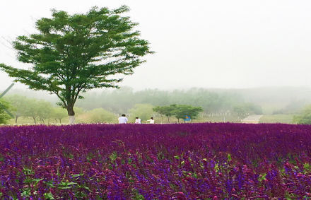 大连医科大学2017-2018年分省市区、分专业录取分数情况统计表
