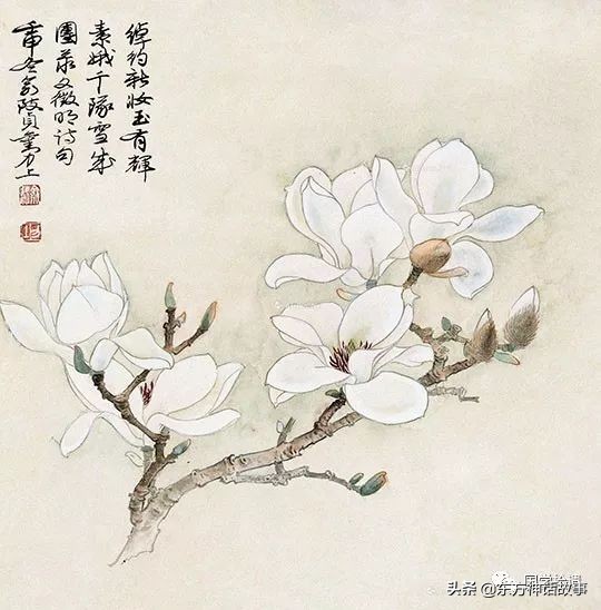 十首玉兰花的诗词——每一首都尽显其孤傲，优雅之气