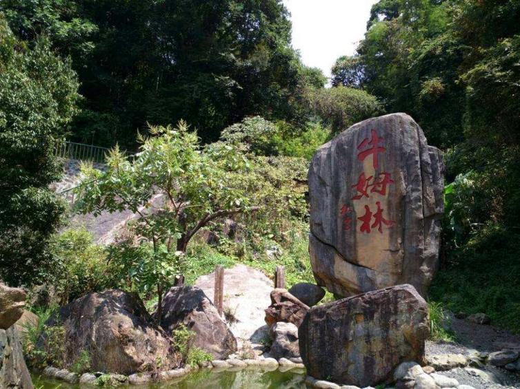 福建永春出发自驾2日游景点攻略推荐